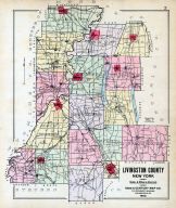 Livingston County Map, Livingston County 1902